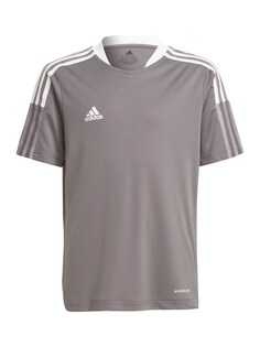 Рубашка для выступлений ADIDAS PERFORMANCE Tiro 21, мутный цвет