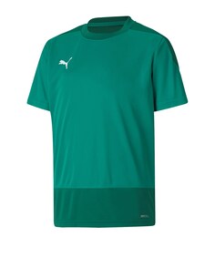Рубашка для выступлений Puma Team Goal, изумруд/нефрит