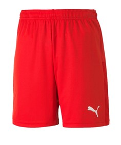 Обычные тренировочные брюки Puma TeamGOAL 23, красный