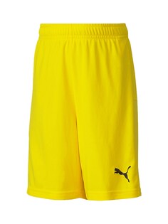 Обычные тренировочные брюки Puma TeamGOAL 23, желтый