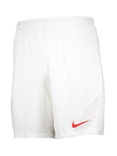 Обычные тренировочные брюки Nike Park III, белый