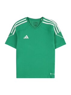 Обычная рубашка Performance ADIDAS PERFORMANCE Tiro 23 League, зеленый