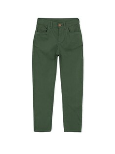 Обычные брюки Defacto, зеленый