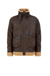 Зимняя куртка Alpha Industries, коричневый