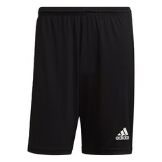 Обычные тренировочные брюки Adidas Squadra 21, черный