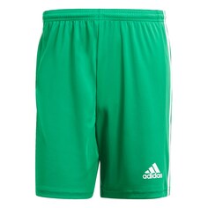 Обычные тренировочные брюки Adidas Squadra 21, зеленый