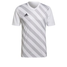 Рубашка для выступлений Adidas Entrada 22, серый/белый