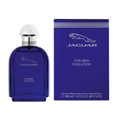 Мужская туалетная вода Jaguar Evolution Men, 100 мл