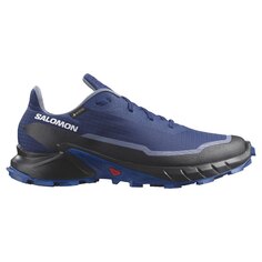 Кроссовки Salomon Alphacross 5 Goretex Trail, синий