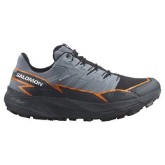 Кроссовки Salomon Thundercross Goretex Trail, серый