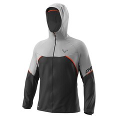 Куртка Dynafit Alpine Goretex, серый
