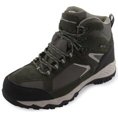 Ботинки Alpine Pro Romoos Hiking, зеленый