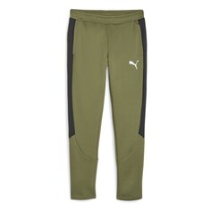 Спортивные брюки Puma Evostripe Dk, зеленый