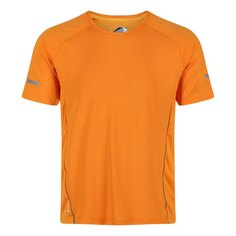 Футболка Regatta Highton Pro Logo, оранжевый