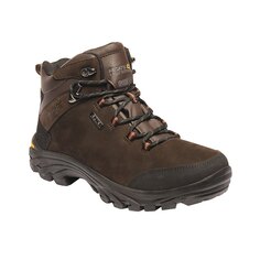 Ботинки Regatta Burrell Hiking, коричневый