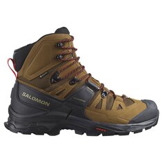 Ботинки Salomon Quest 4 Goretex Hiking, бежевый