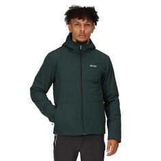 Куртка Regatta Daxford, зеленый