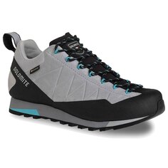 Походная обувь Dolomite Crodarossa Low Goretex 2.0, серый
