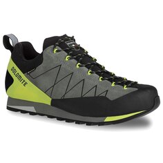Походная обувь Dolomite Crodarossa Low Goretex 2.0, зеленый