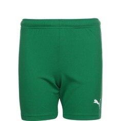 Обычные тренировочные брюки Puma TeamRise, зеленый
