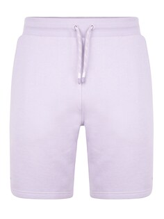 Обычные брюки Threadbare Bergamot, светло-фиолетовый