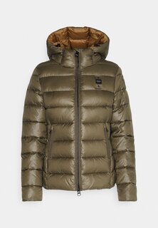 Куртка зимняя КУРТКА BASIC Blauer, темно-оливковый