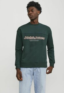 Толстовка КРУГЛЫЙ ВЫРЕЗ Jack &amp; Jones, волшебный лес