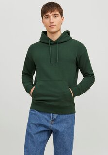 Толстовка с капюшоном JJESTAR BASIC HOOD Jack &amp; Jones, вид на горы