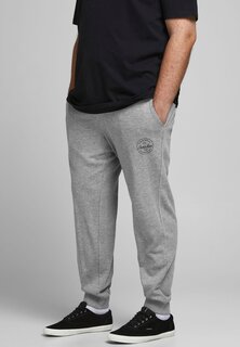 Спортивные брюки JJIGORDON JJSHARK PANT Jack &amp; Jones, светло-серый меланж