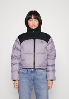 Зимняя куртка BLOCKED CROPPED PUFFER Calvin Klein Jeans, лавандовый аура/черный