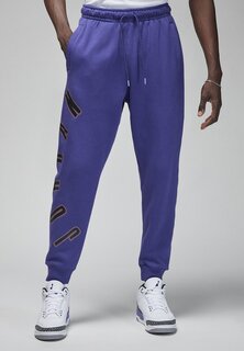Спортивные брюки Jordan, небесно-фиолетовый парус