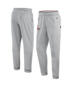 Мужские серые спортивные штаны washington commanders с логотипом sideline Nike, серый