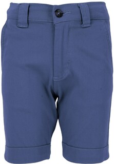 Обычные брюки ZigZag Vincent, синий