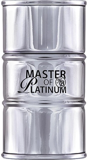 Туалетная вода New Brand Master Essence Platinum