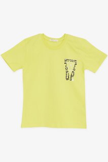 Футболка для мальчиков с желтым текстовым принтом (8–14 лет) Breeze, желтый
