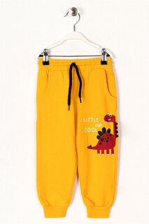 Спортивные штаны с карманами и принтом горчичного цвета для мальчика Zepkids
