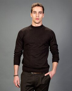 Обычный мужской свитер с полуводолазкой приталенного кроя кофейного цвета TUDORS
