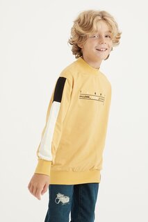 Толстовка стандартного кроя для мальчика с круглым вырезом и вышивкой в полоску горчичного цвета TOMMYLIFE