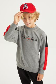 Толстовка стандартного кроя для мальчиков серого меланжевого цвета с вышитой надписью в полоску и детальным круглым вырезом TOMMYLIFE