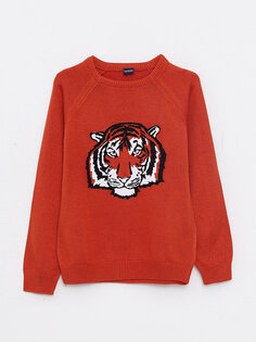 Трикотажный свитер для мальчиков с круглым вырезом и длинными рукавами LCW Kids, темно-оранжевый
