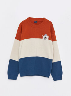 Трикотажный свитер для мальчиков с круглым вырезом и длинными рукавами с цветными блоками LCW Kids, апельсин