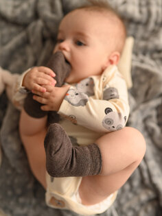 Базовые носки для мальчика, 5 шт. LCW baby, светло-бежевый