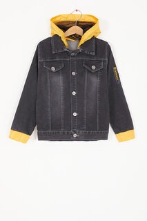 Джинсовая куртка для мальчиков с капюшоном и вышивкой Smoked Text 16812 Wikiland