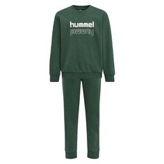 Спортивный костюм Hummel New Spring, зеленый