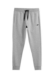 Спортивные брюки 4F, холодный светло-серый меланж.