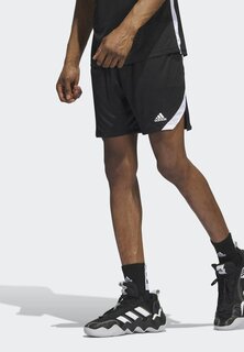 Спортивные шорты ICON SQUAD Adidas, черный белый