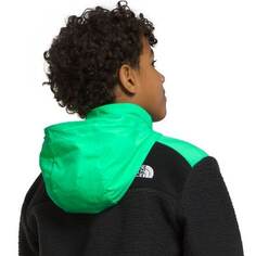 Флисовая куртка Forrest Mashup, для мальчиков The North Face, цвет TNF Black/Chlorophyll Green