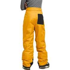Утепленные брюки Freedom – для мальчиков The North Face, цвет Summit Gold