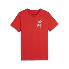 Рубашка для выступлений Puma AC Milan, красный
