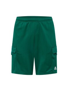 Обычные тренировочные брюки Adidas Tiro, темно-зеленый